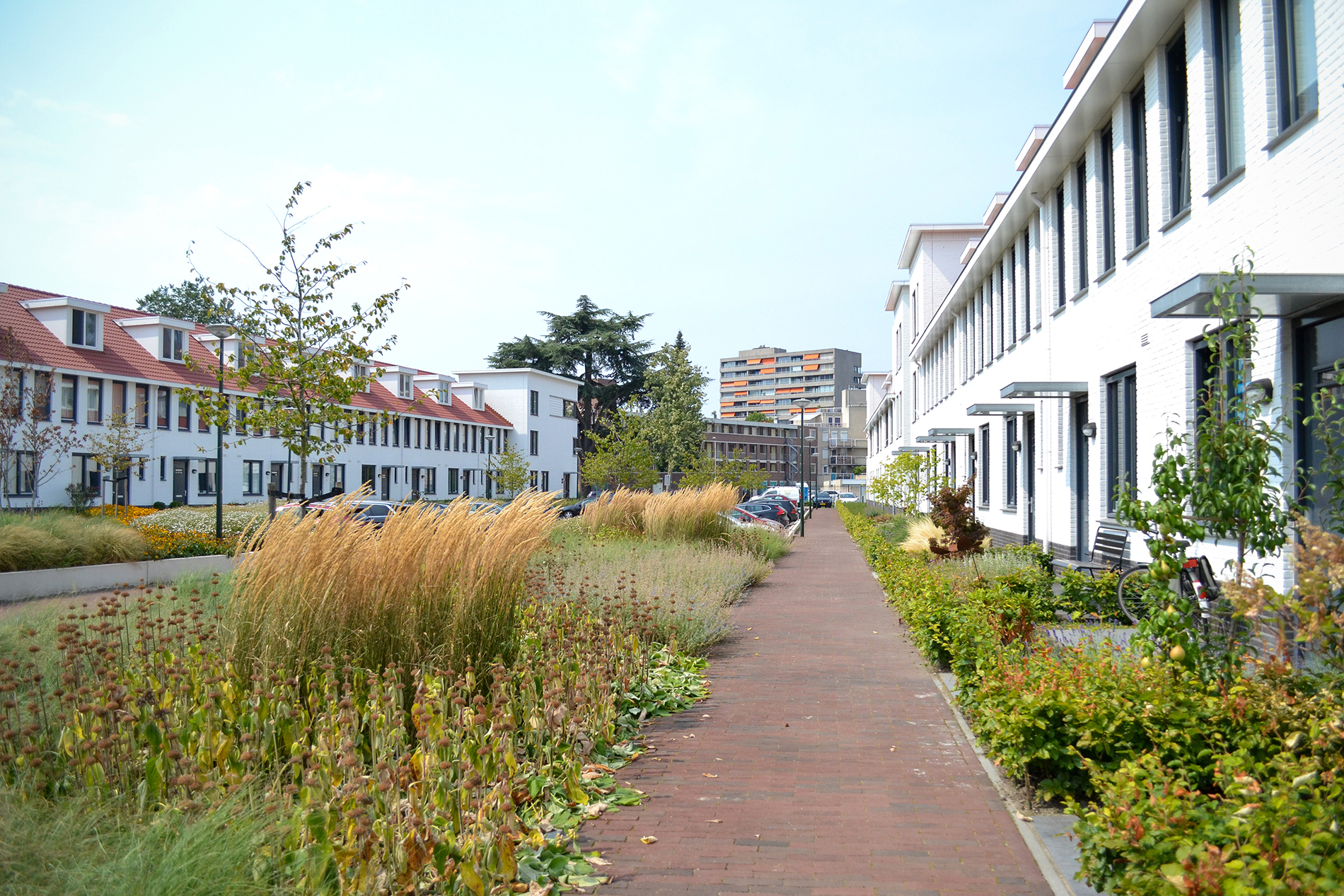 Afbeelding Osmaïa Nederland